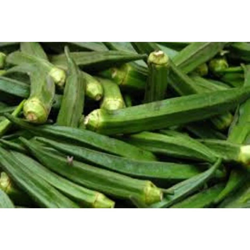 Okra Clemson без спиннинга для экспорта в Индию из Индии от индийской компании по производству