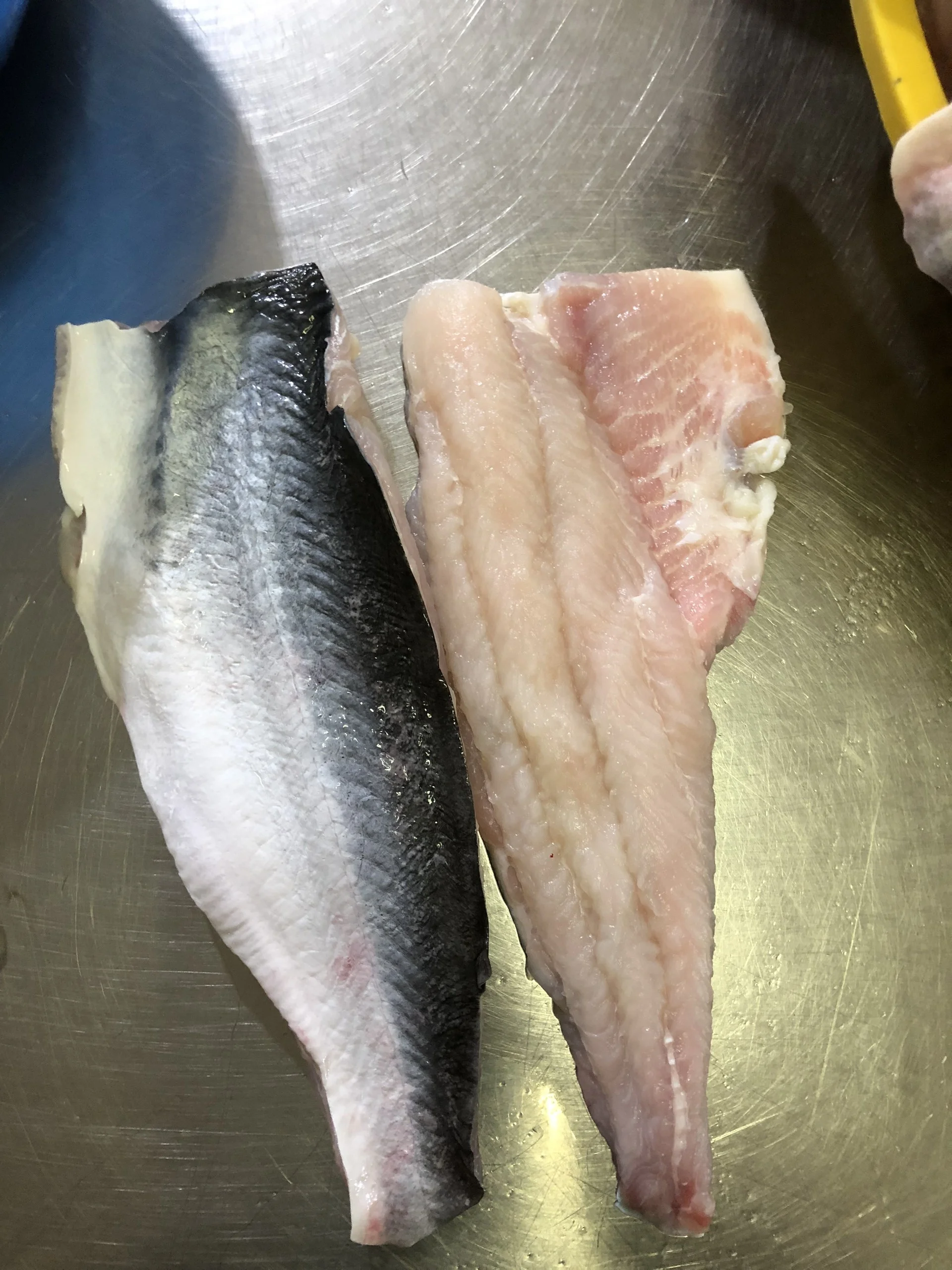 Basa Fillet Skin on/ Pangasius Fillet Skin On High Quality Seafood Brand in Vietnam