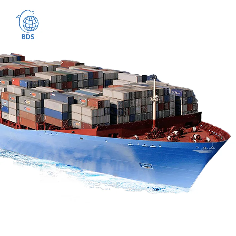 Best cheap and competitive professional and best service shipping agent ocean freight forwarder