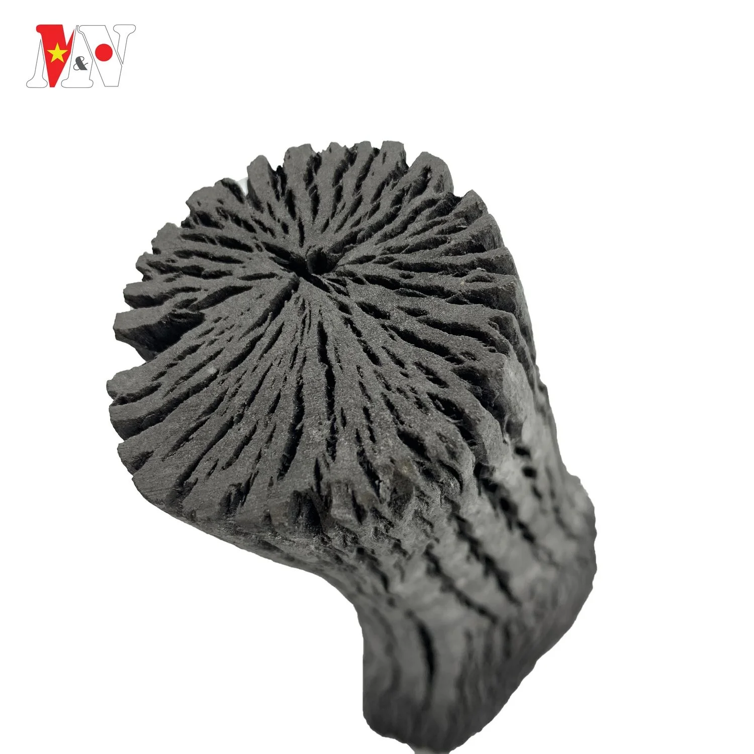 Высококачественный белый древесный уголь Binchotan Lychee с длительным сроком службы