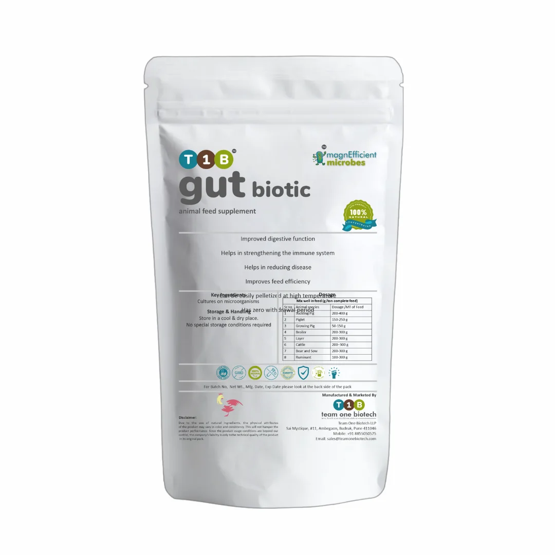 Gut Biotic for Cattle  Supports Healthy Growth