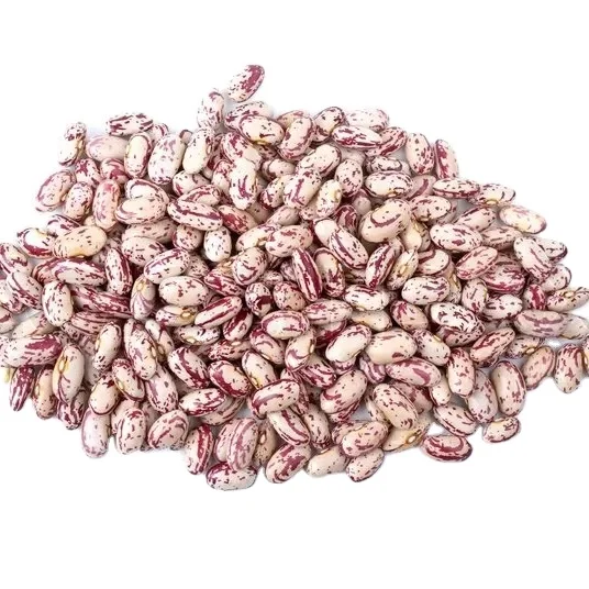 Хит продаж китайская полированная легкая зернистая фасоль консервированные фасоли с