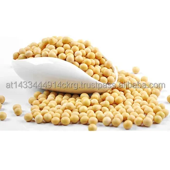 Canada Wholesale Dried Yellow Soybean Soya Seeds