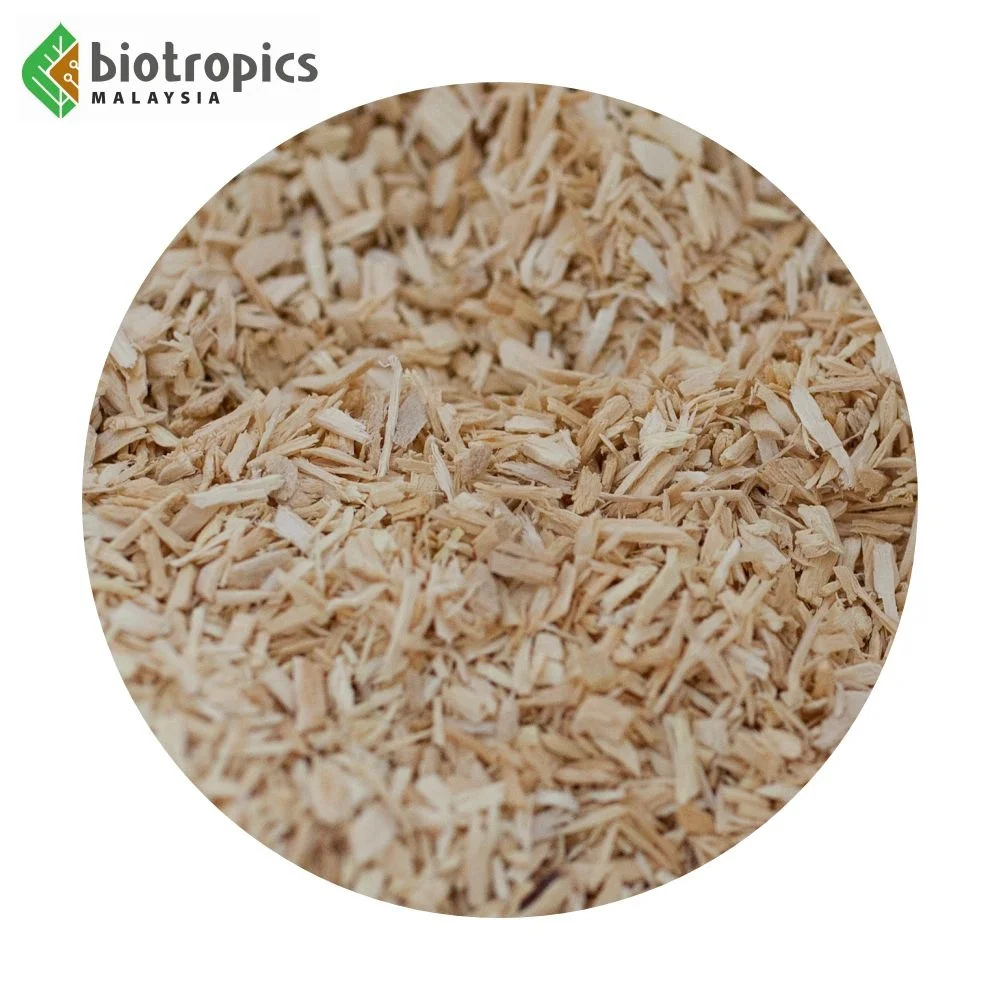 New Water Extract of Tongkat Ali Malaysian Ginseng PG5 for Tea, Coffee, Chocolate Safe for Daily Consumption