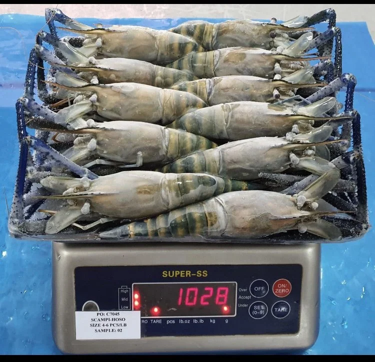 High quality Wholesale Raw HOSO Freshwater Shrimp Shell On made in Vietnam Fresh Seafood ready to ship