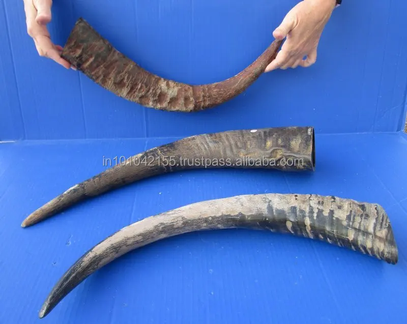 
Креативный натуральный рог буйвола 