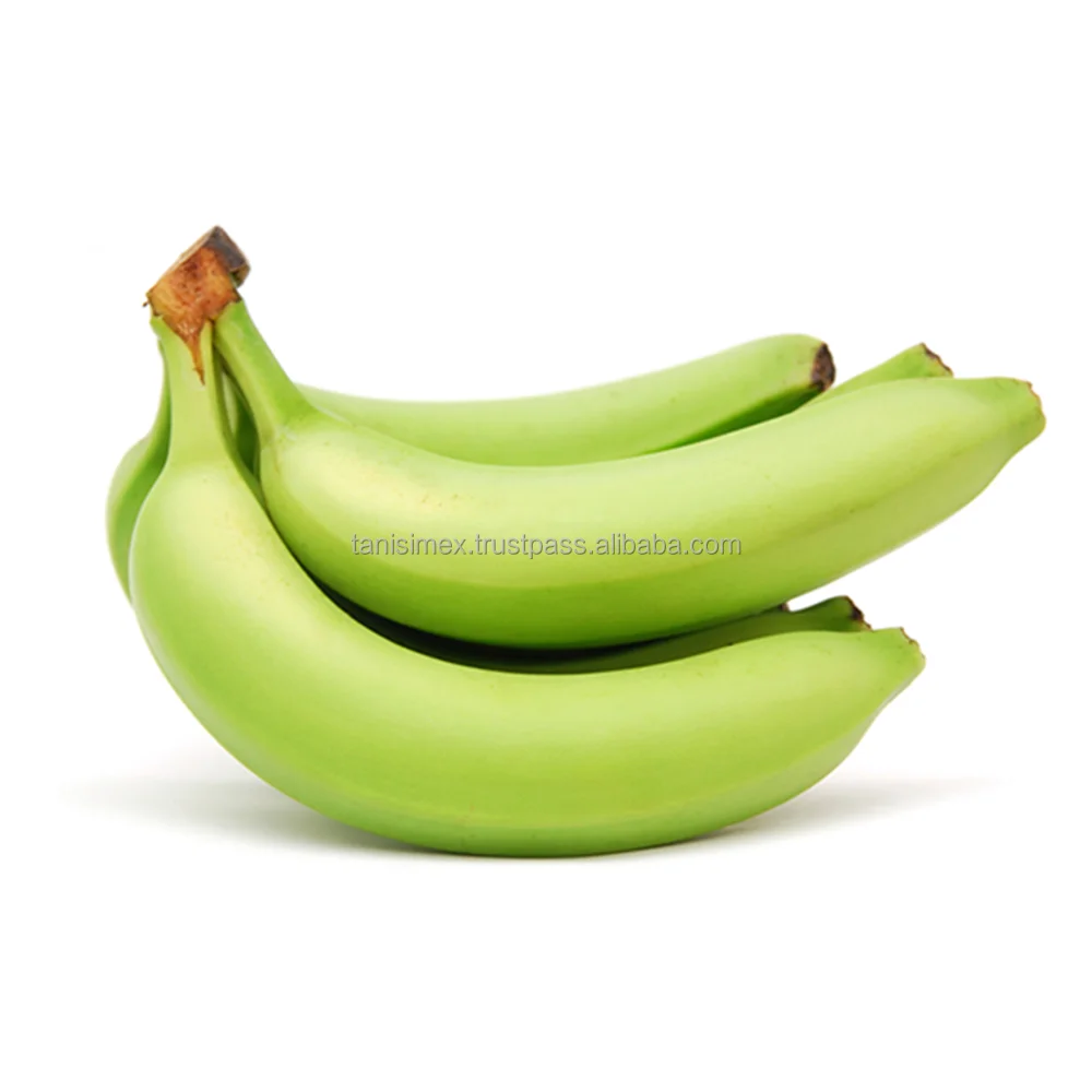 CONNECT WITH QUALITY: FRESH CAVENDISH BANANAS FROM VIETNAM - YOUR PARTNER IN GLOBAL EXPORT