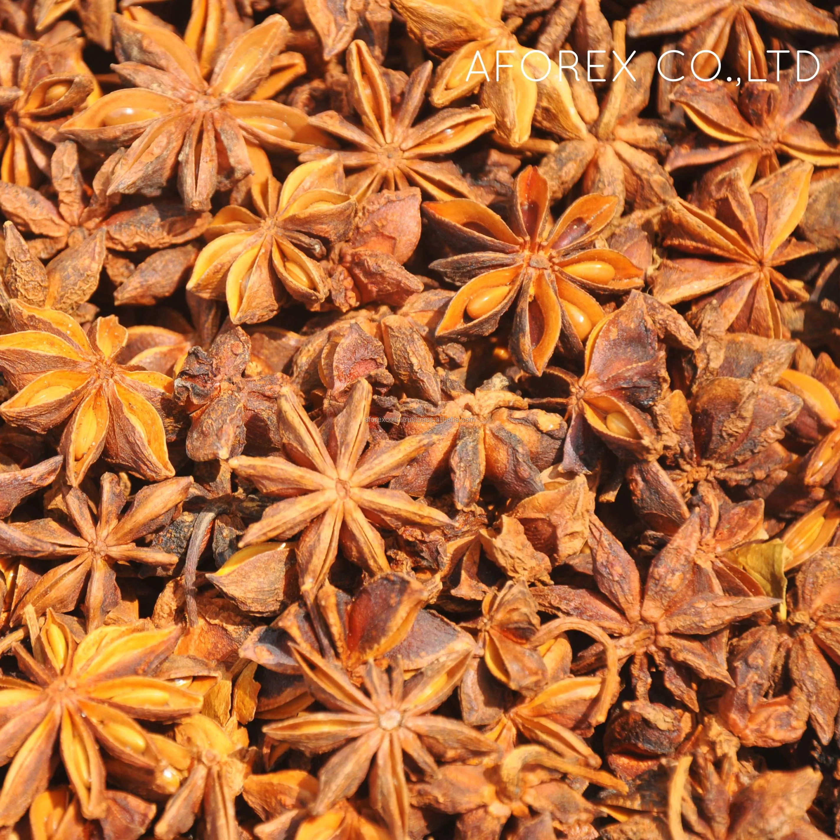 Whole Star Anise Grade AA High Quality Autumn Crop Big Size Rich Oil Content Product by Factory Origin from Vietnam