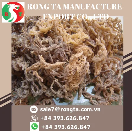 HIGHT QUALITY DRIED EUCHEUMA MADE IN VIETNAM
