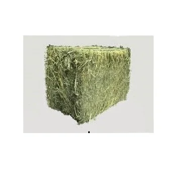 Quality alfalfa hay bays / Alfaifa pellets / Dehydrated Alfalfa for sale Alfalfa Hay, Rhodes Grass, Oats Grass for sale