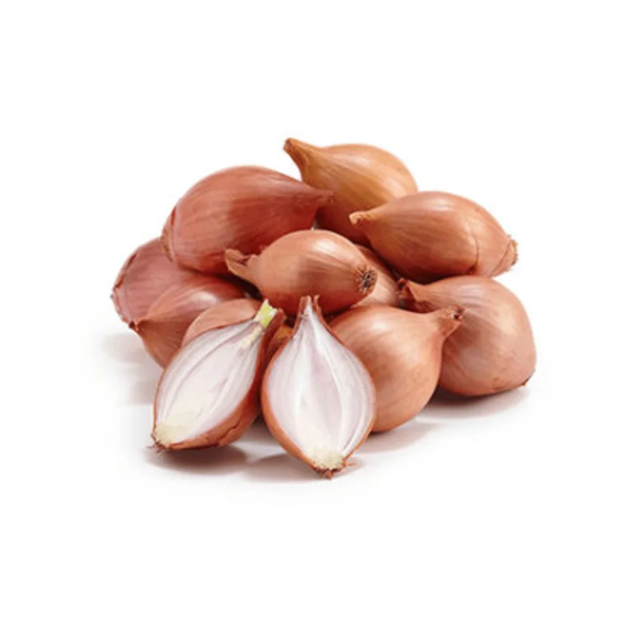 [HOT SALE 2022] Fresh Onion With High Quality Wholesale Cheap Price Ready To Ship From Viet Nam