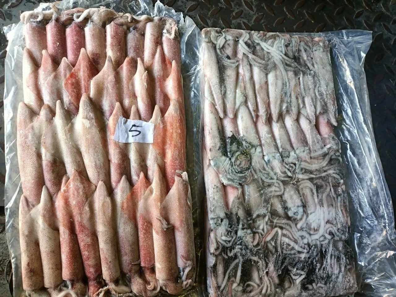 FROZEN INDONESIAN SQUID CHEAP FACTORY PRICE INDIAN SUPPLY