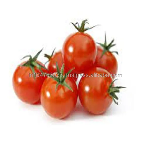 Tomato -Taste the depth of deliciousness.