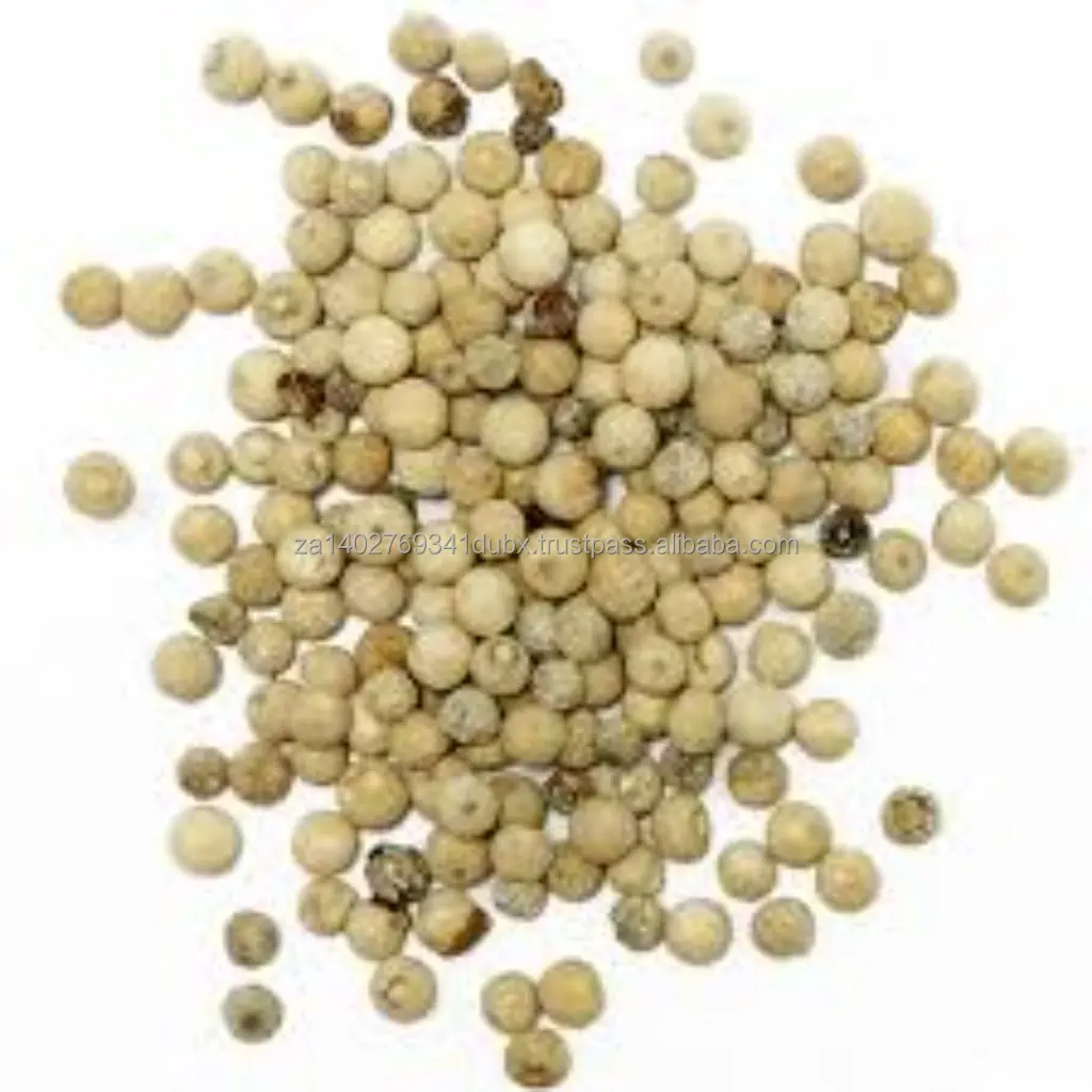 Peppercorn_white_1024x1024.jpg