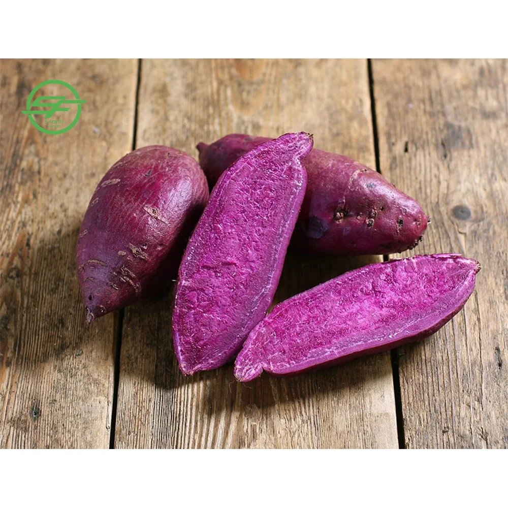 The best fresh and delicious purple sweet potato