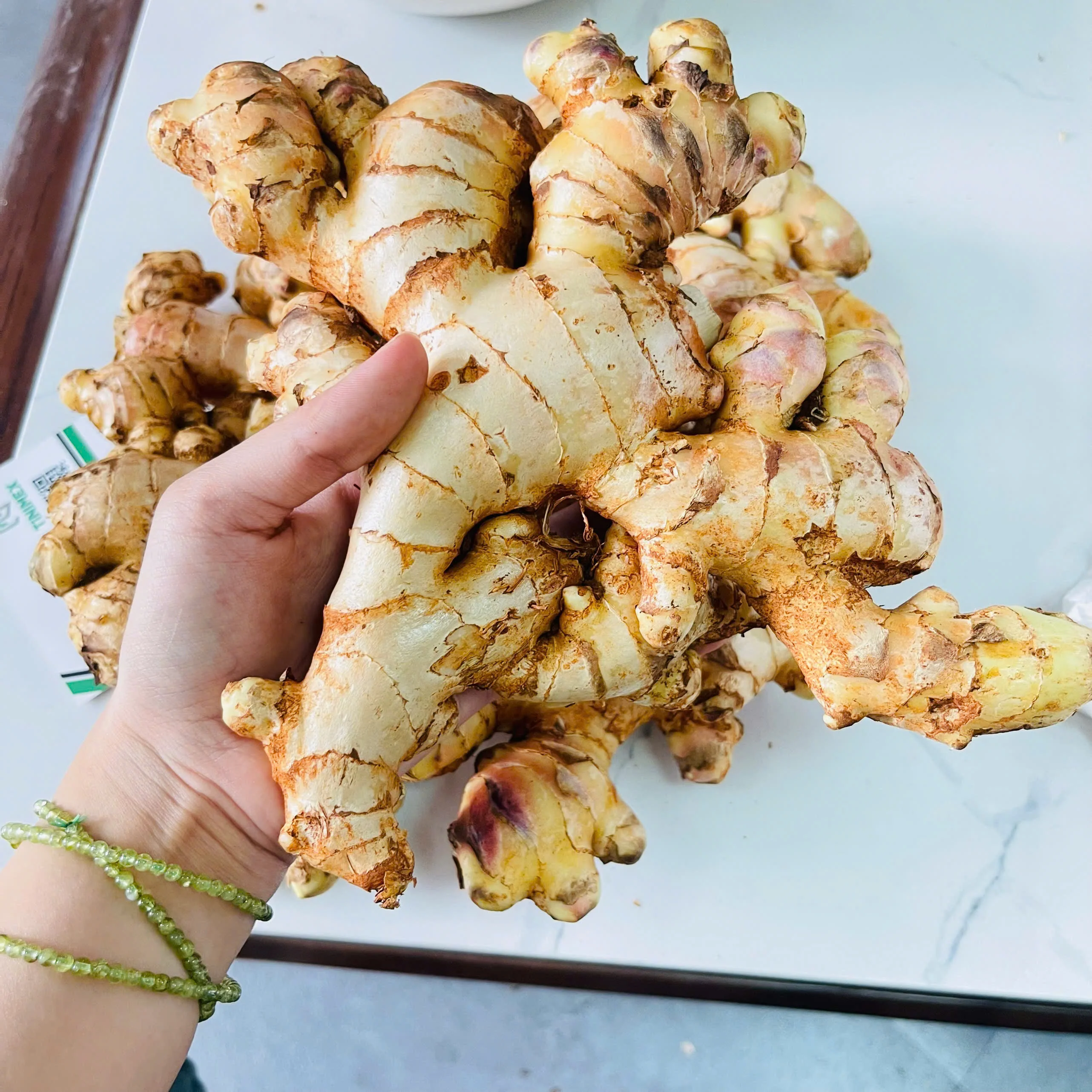 Fresh Ginger/ Gingembre | Best Quality in Vietnam (WhatsApp: +84366808683)