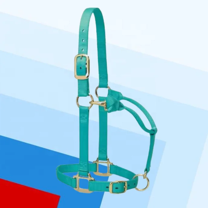 Mint Green ESE Original Adj Horse India Kanpur Halter