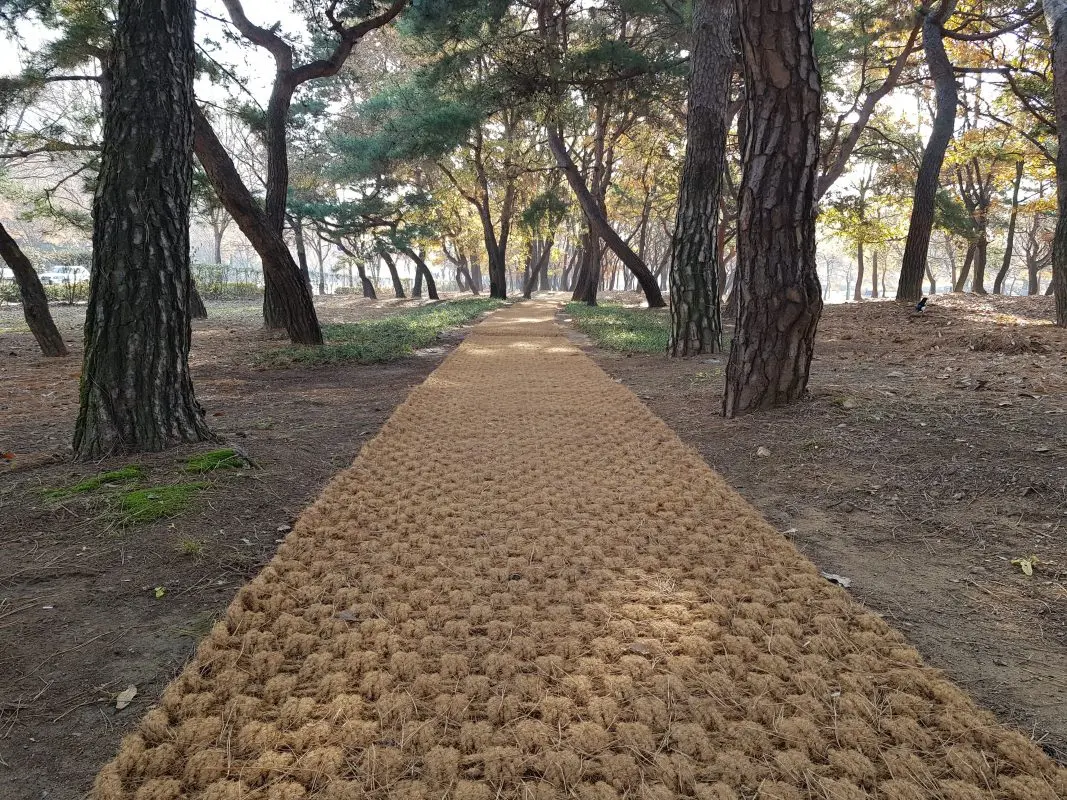 New arrival 2022 ECO Friendly Coconut plain coir mat from Vietnam for outdoor paving Size 1.0*10m , thickness 35mm 100% natural