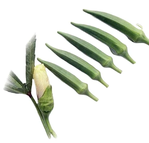 Новая продукция 2021 для okra зеленых зерен в пакетах 50 кг hdpp экспортного качества из