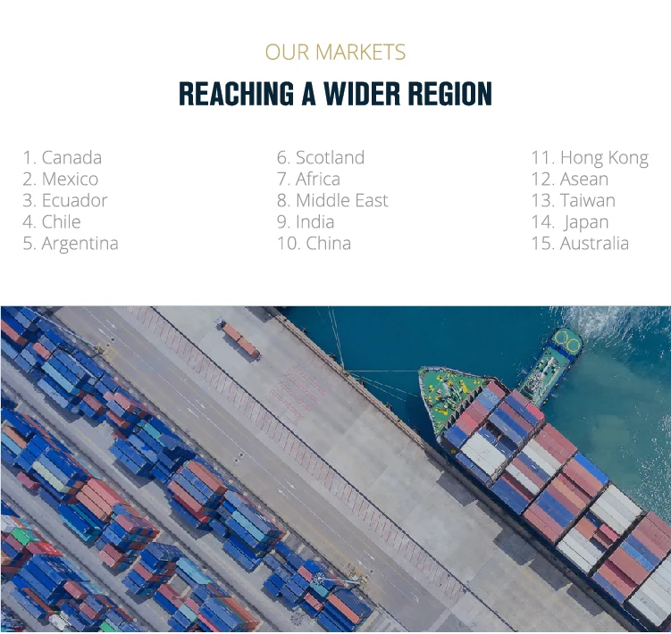 Top Premium Quality Cooked Style Net Catch (26-30 pcs/kg) Semi-IQF 1 kg/box Frozen Cooked Vannamei HOSO Red Shrimp Seafood