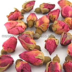 Red-Rose-Bud.jpg