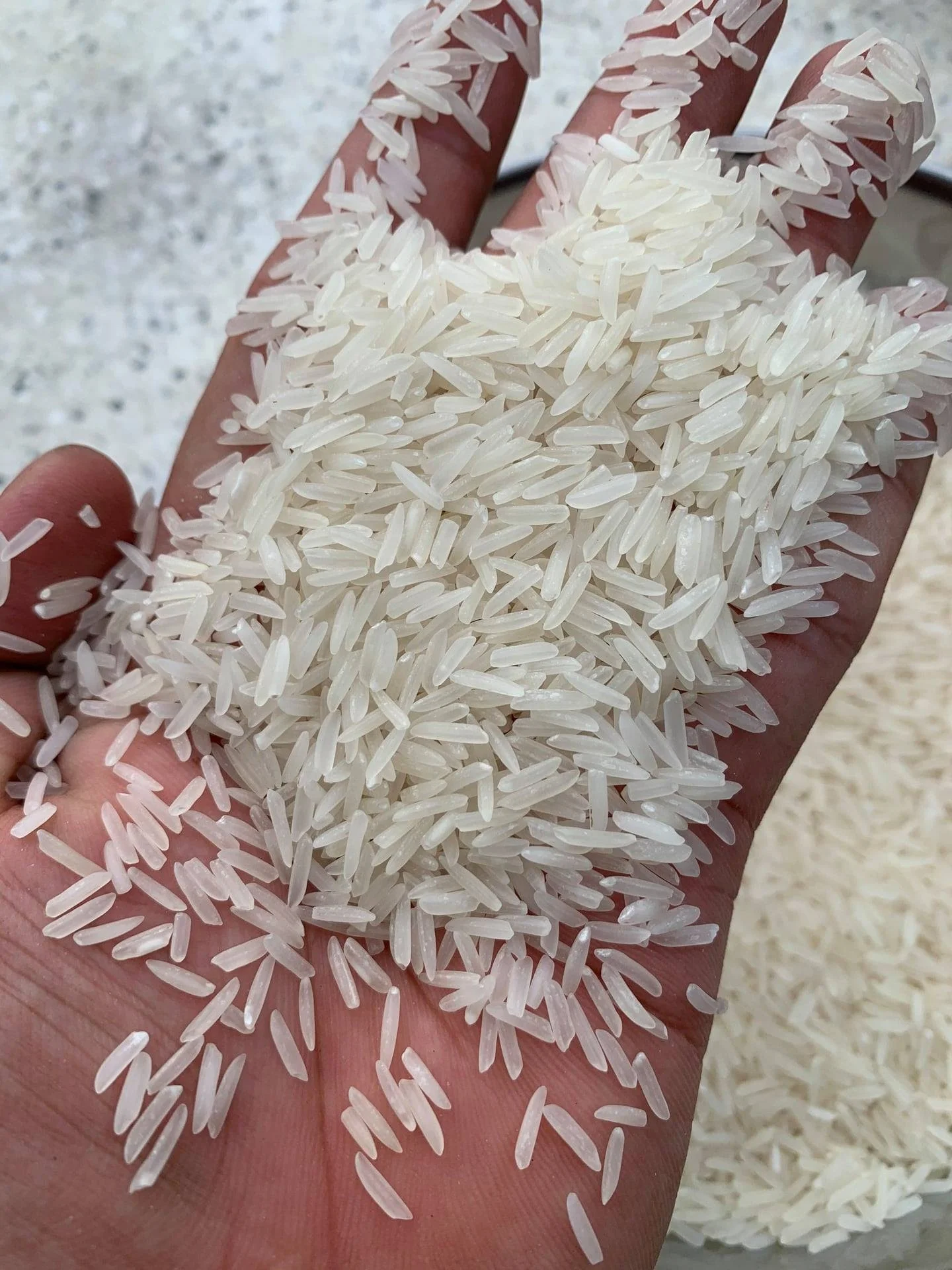 Glutinous rice supplier from Vietnam