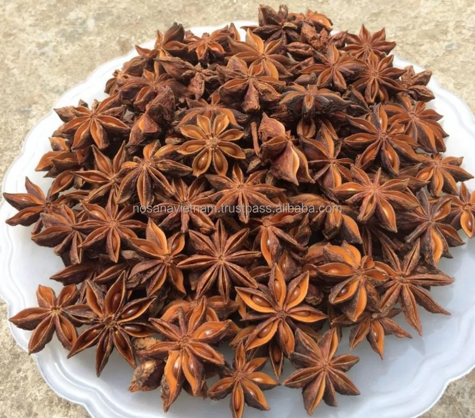 Vietnam Natural Product Best Price High Quality Star Anise