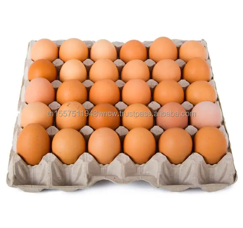 Chicken Eggs Ostrich Eggs, Chicken Eggs, Turkey Eggs Fresh Table Eggs Brown And White Farm Fresh Chi