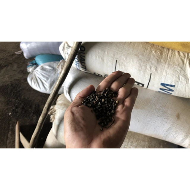 Hot Sale Single Spice Black Pepper Seeds Black Pepper Powder Black Pepper Seeds For Snack Food Ingredients