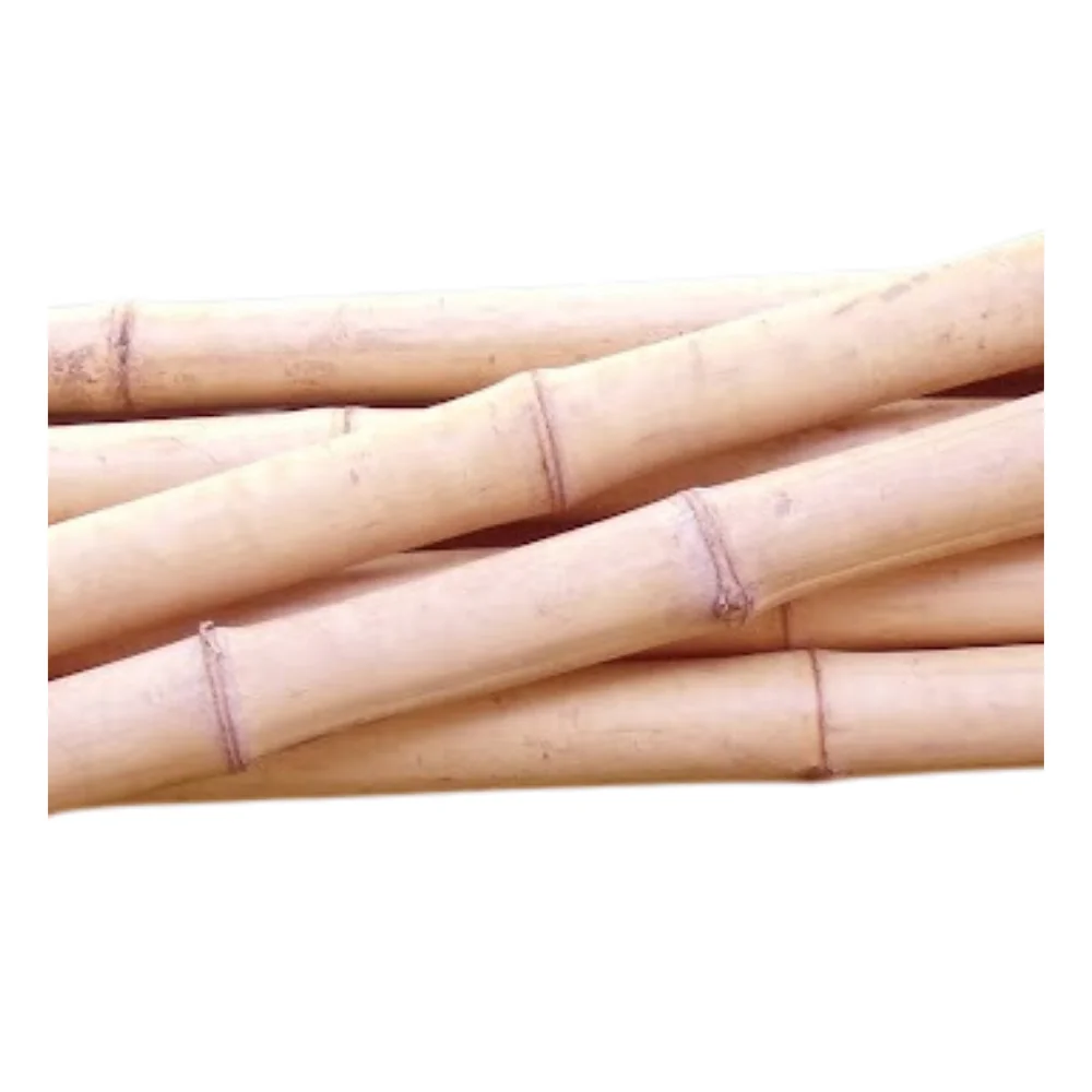 Бамбуковая трубка (длина 500 см) оптовая продажа бестселлер конкурентоспособная цена высококачественное бамбуковое сырье от вьетнамского производителя