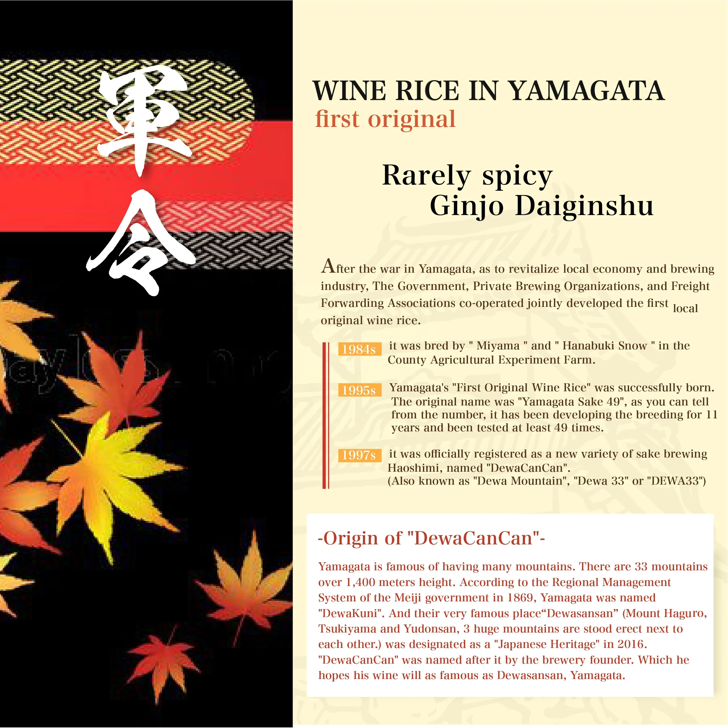 Gunrei High Quality Junmai Daiginjo Popular Japan Sake Wine Beverage 720ml per bottle