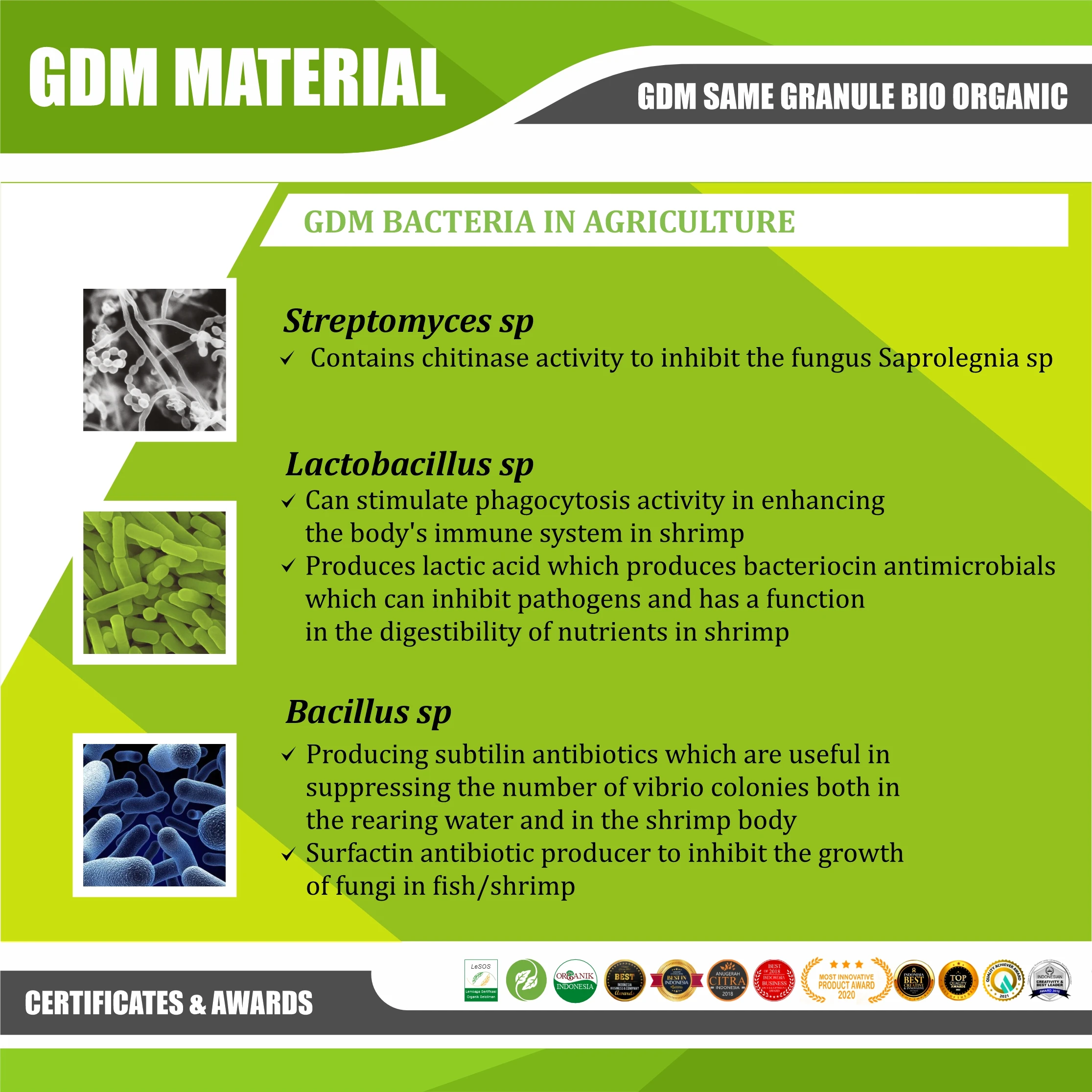 Granule BIO ORGANIC GDM SA-ME ORGANIC Fertilizer Repair Soil Ecosystem Prevent Soil Borne Disease Provide C-organic for Soil -