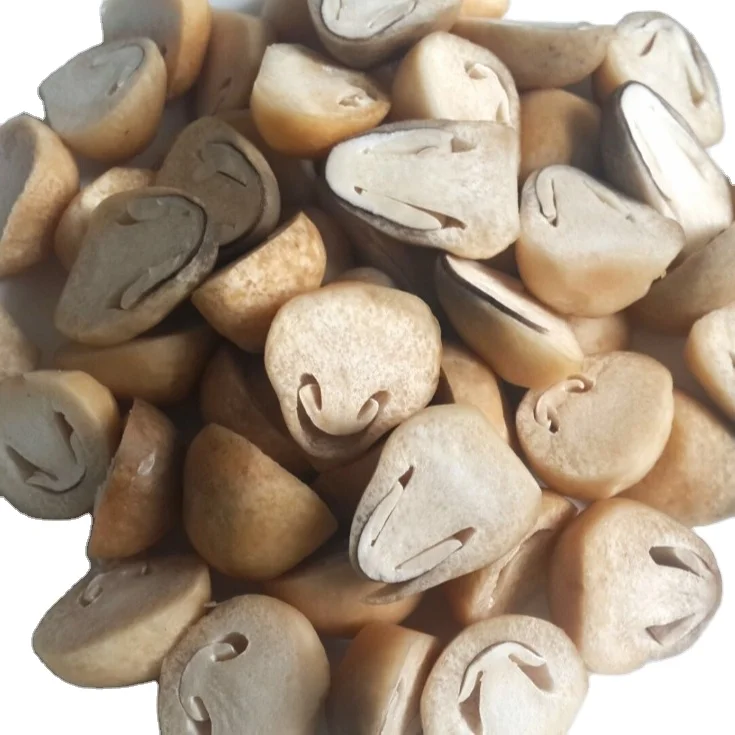 Оптовая продажа свежих соломенных грибов оптом в 2021