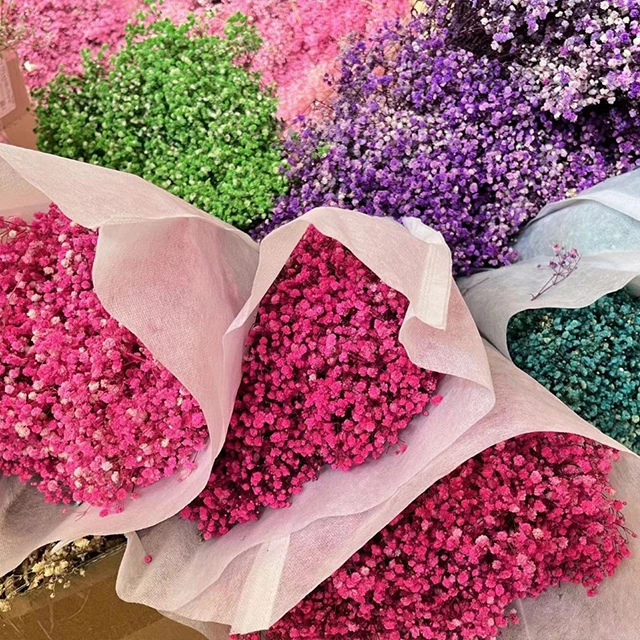 wholesale baby breath bouquet preserved gypsophila dried flowers multiple colors dry babies breath for decor