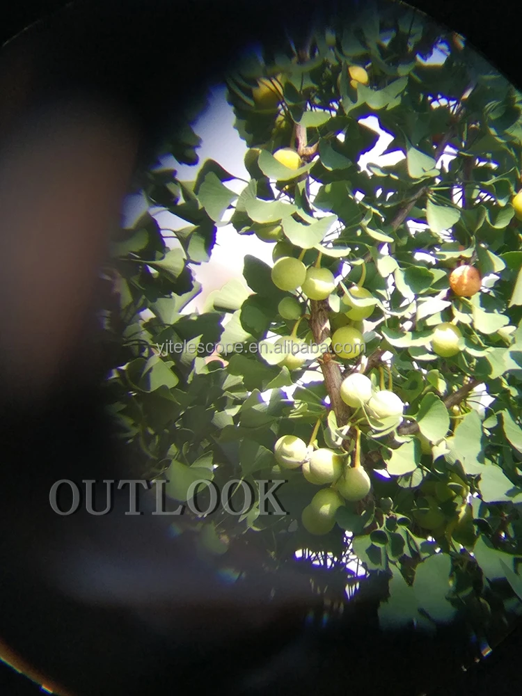 Маленький телескоп с треногой AAA, 20-60x80, точечная труба, бинокулярный телескоп для наблюдения за птицами.