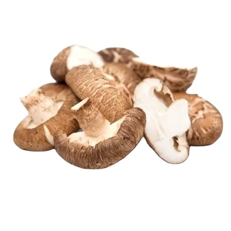 High quality DRIED SHIITAKE MUSHROOM with best price from Vietnam/ Ms. Laura +84 918 509 071