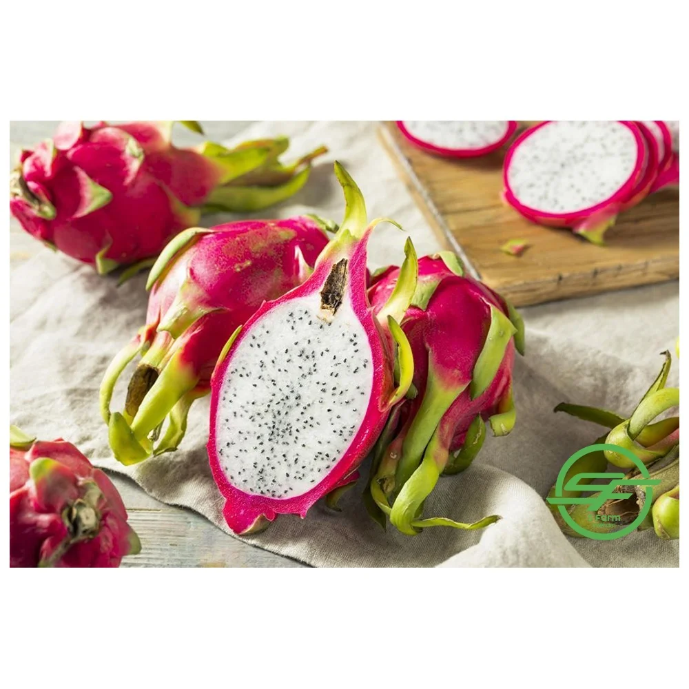 Свежий дракон красный фрукт высокое качество и конкурентоспособная цена на экспорт