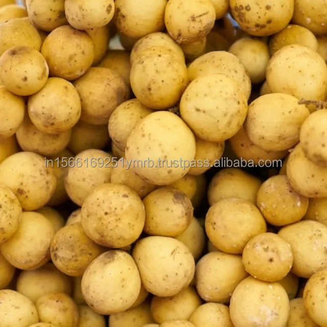 Fresh potato price per ton For Wholesale Buy High quality 100% Organic fresh Potatoes at cheap price