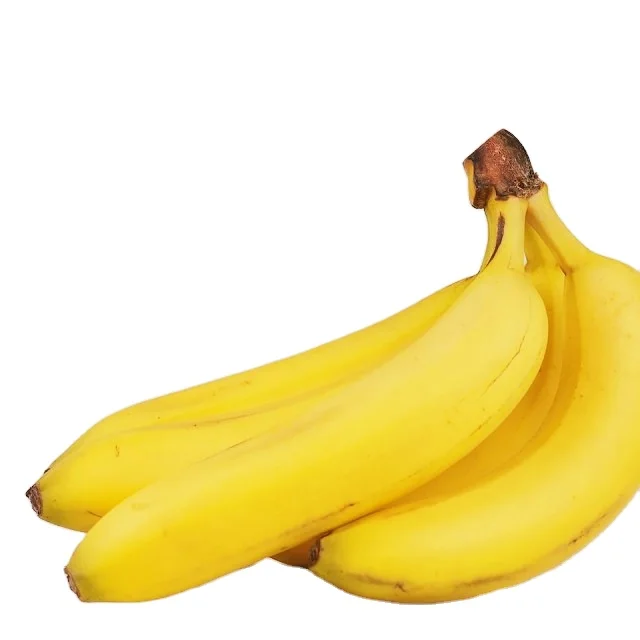 Frozen bananas with ice cream sticks in the middle Cavendish banana cooking 1kg from Vietnam