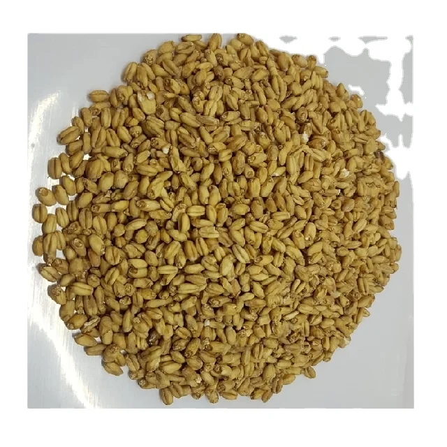 Barley Non-GMO Ukraine Global Supplier of Natural Organic Barley Malt for Brewing Beer