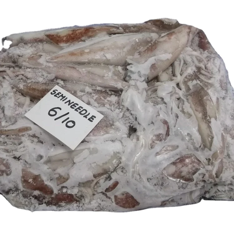 FROZEN SEMI NEEDLE / LOLIGO SQUID WHOLE INDIAN EXPORT AT REASONABLE PRICE AND PREMIUM QUALITY FOE SALE