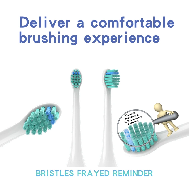 Free Sample Free Design Eco Wholesale Cheap CE Toothbrush Heads Compatible with Philps Soncare Electric Toothbrush Biodegradable