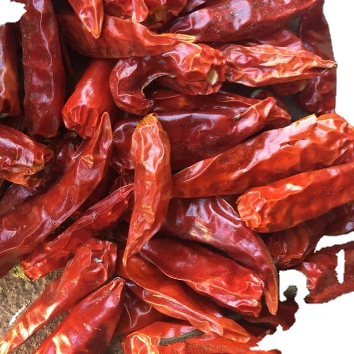 Dried small Chilli from vietnam  best quality cll +84984418844 w