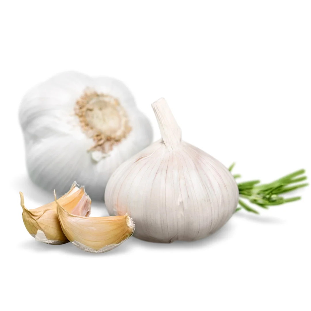 Wholesales New Arrival  Ready To Ship High Quality Fresh Product From Viet Nam Fresh Garlic For Cooking, Restaurant