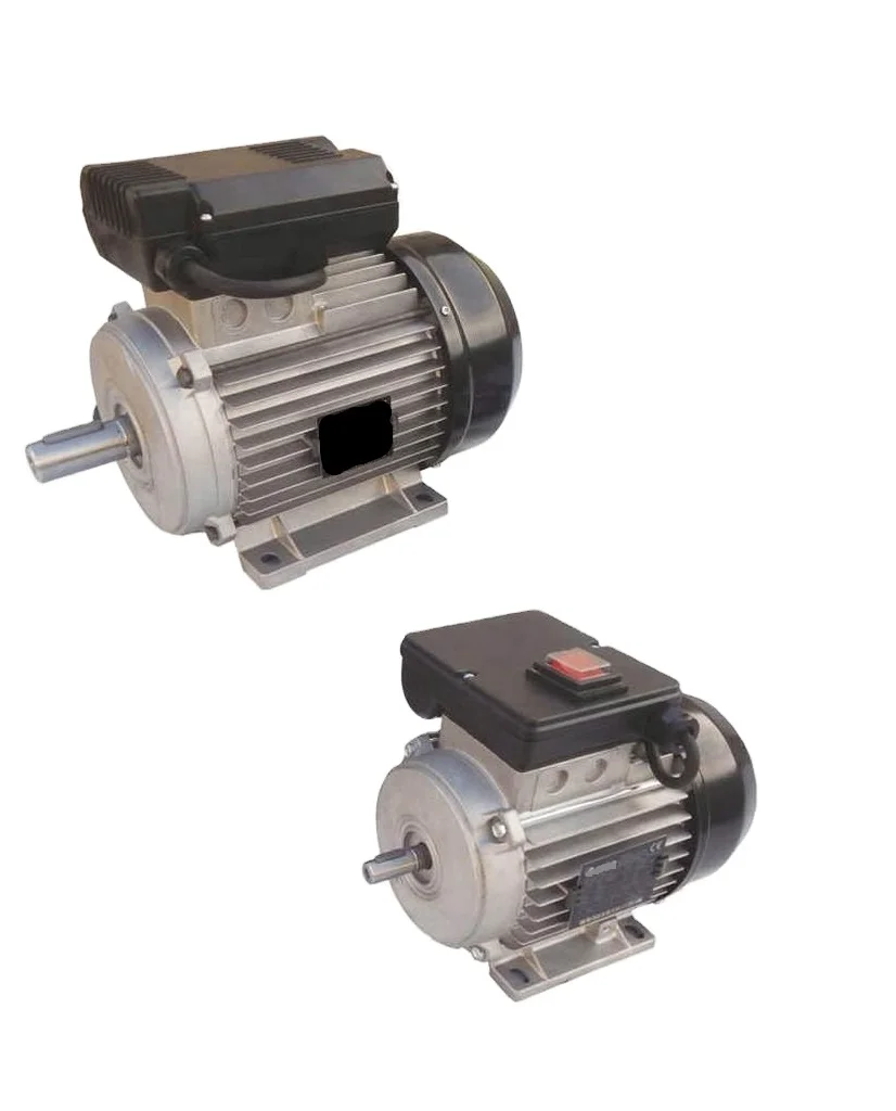 Customised Factory Made Wholesale High Quality Top performance 3 HP Three Phase Squirrel cage Induction Motor