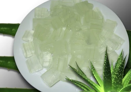 EXPORTING VIETNAMESE ALOE VERA JELLY: HIGH QUALITY, GREAT PRICES