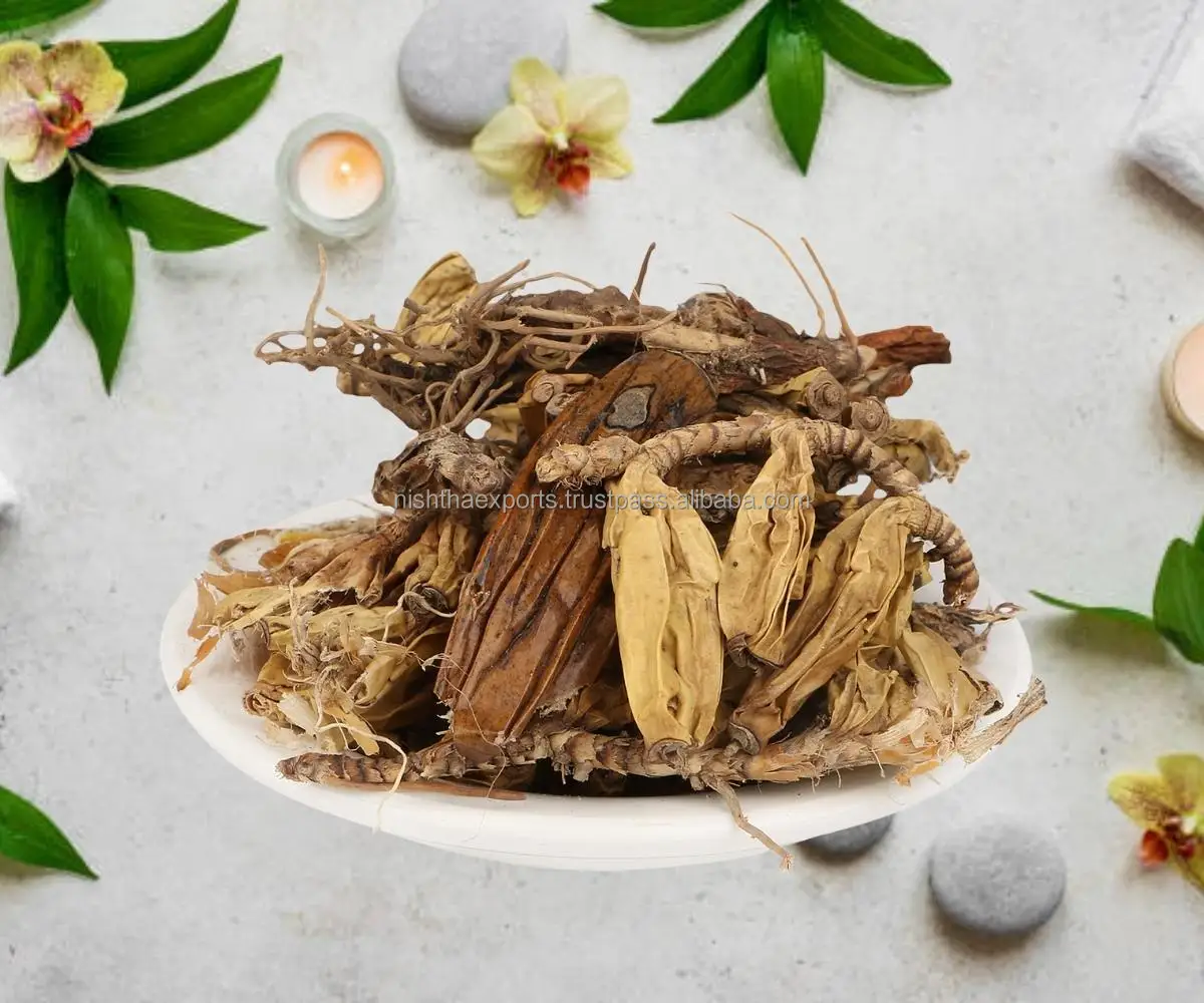 Leptadenia Reticulata Jivanti Root Shakashreshtha Root Jivaniya Jadd Jivapushpa  Hemavati Jivana Dried Raw Herbs Plant Extract