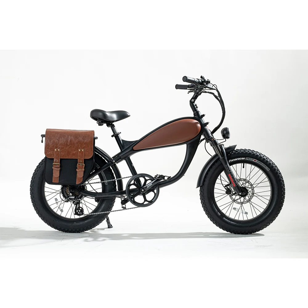 Super 750W Powerful 20 Inch Fat Tire Snow /Beach Electric Bicycle Dual Disc Brake Fat Tire Electric Mountain Bike