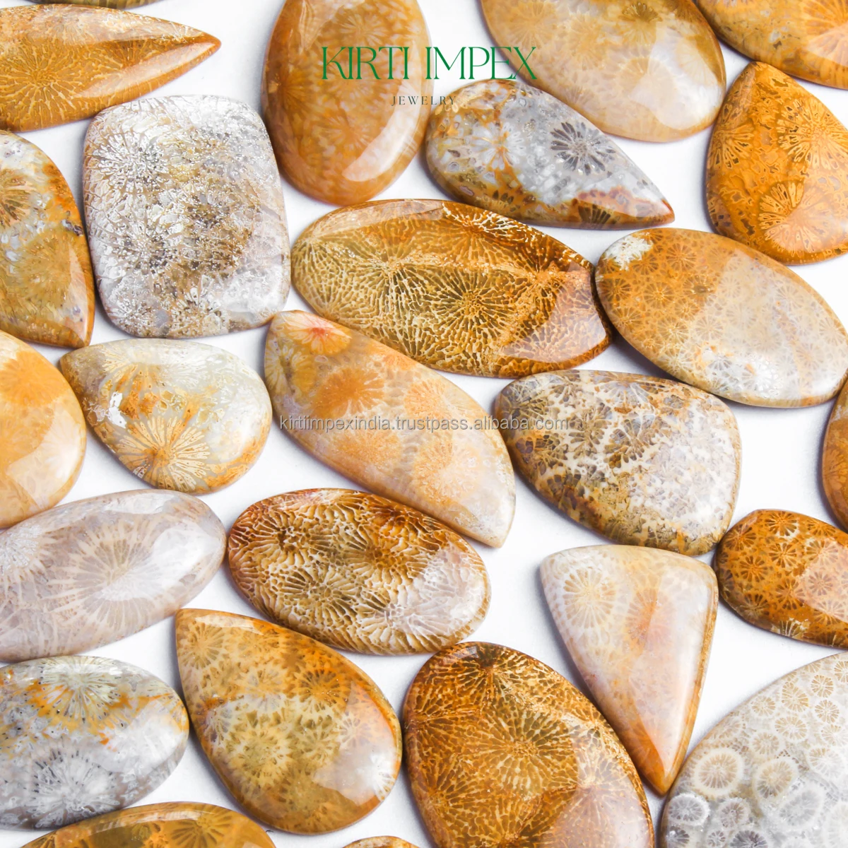 Natural Fossil Coral Cabochons Semi-Precious Loose Crystal Trending Authentic Organic Gemstones FlatBacks Fine Quality