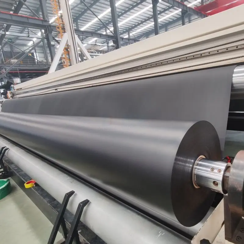 Geomenbrana Mine Tailing Geomembrane in Tanzania Geomembrane HDPE